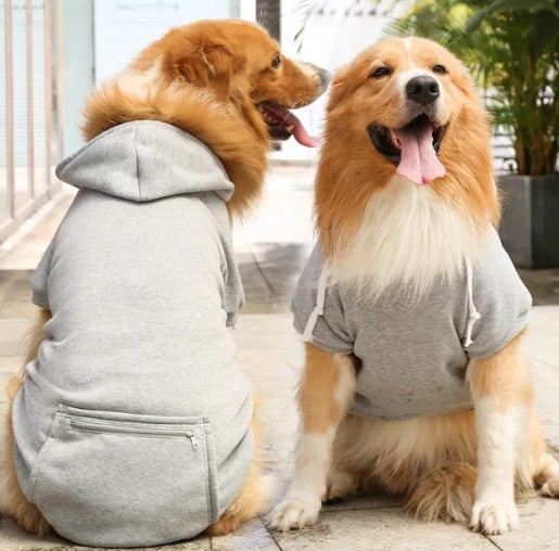 Sweat à capuche pour chien CoolDog™