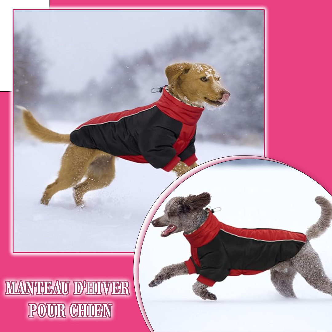 Imperméable pour chien RainSafe™