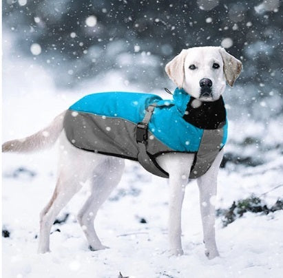 Imperméable pour chien RainSafe™