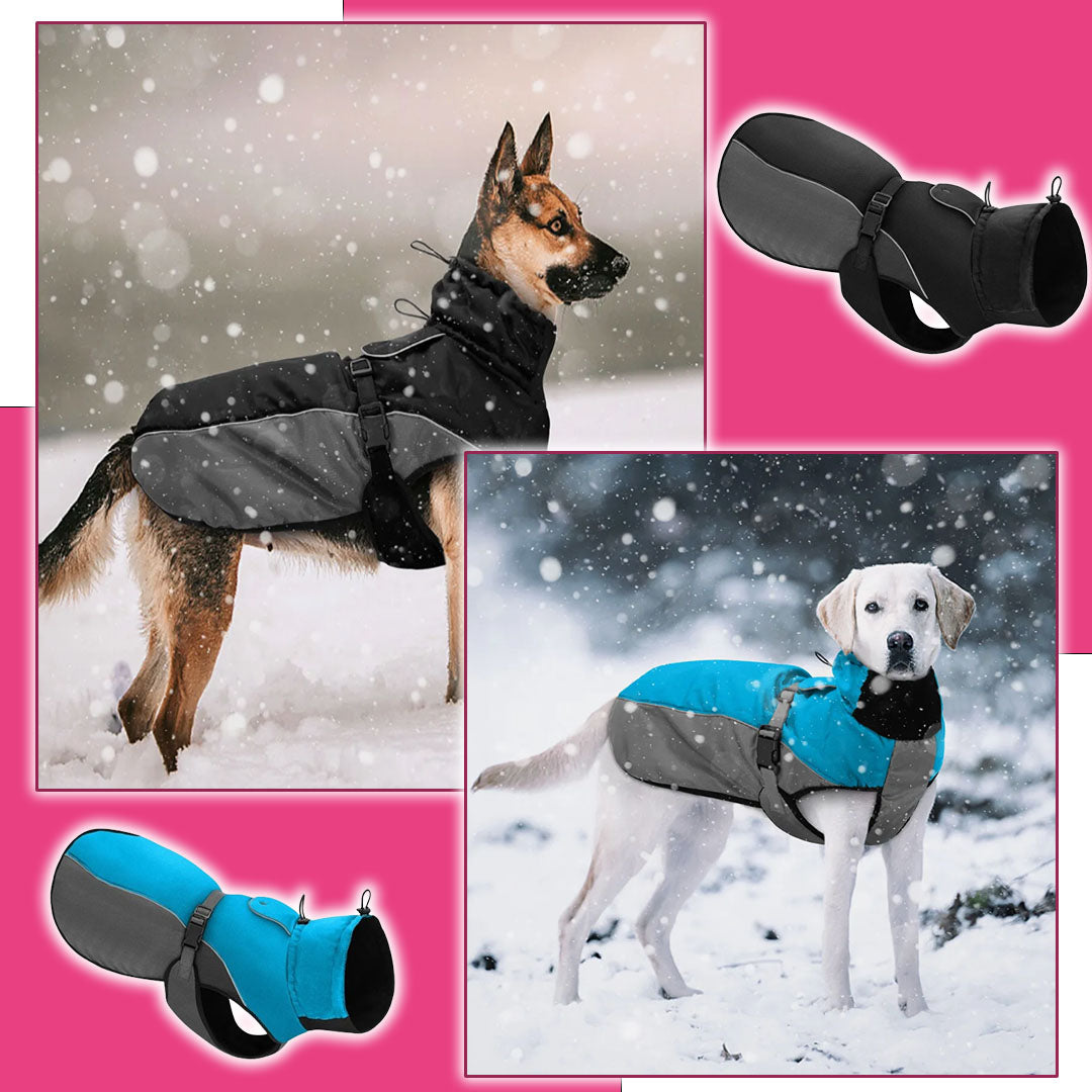 Imperméable pour chien RainSafe™