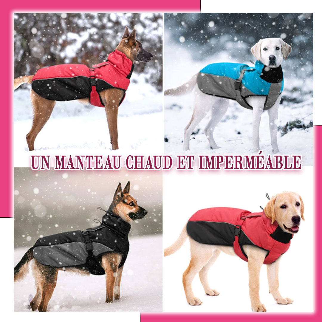 Imperméable pour chien RainSafe™