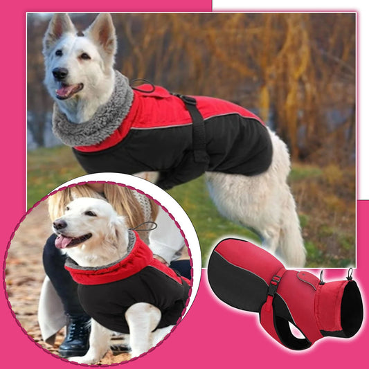 Imperméable pour chien RainSafe™