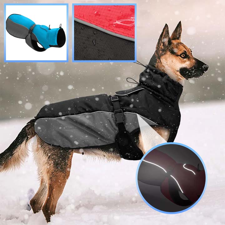 Imperméable pour chien RainSafe™