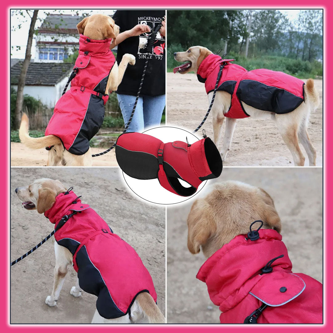 Imperméable pour chien RainSafe™