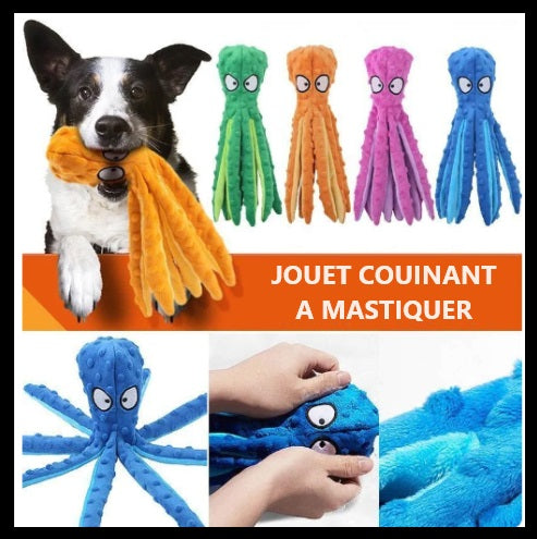 Pieuvre de jeu Poulpi™ pour chien