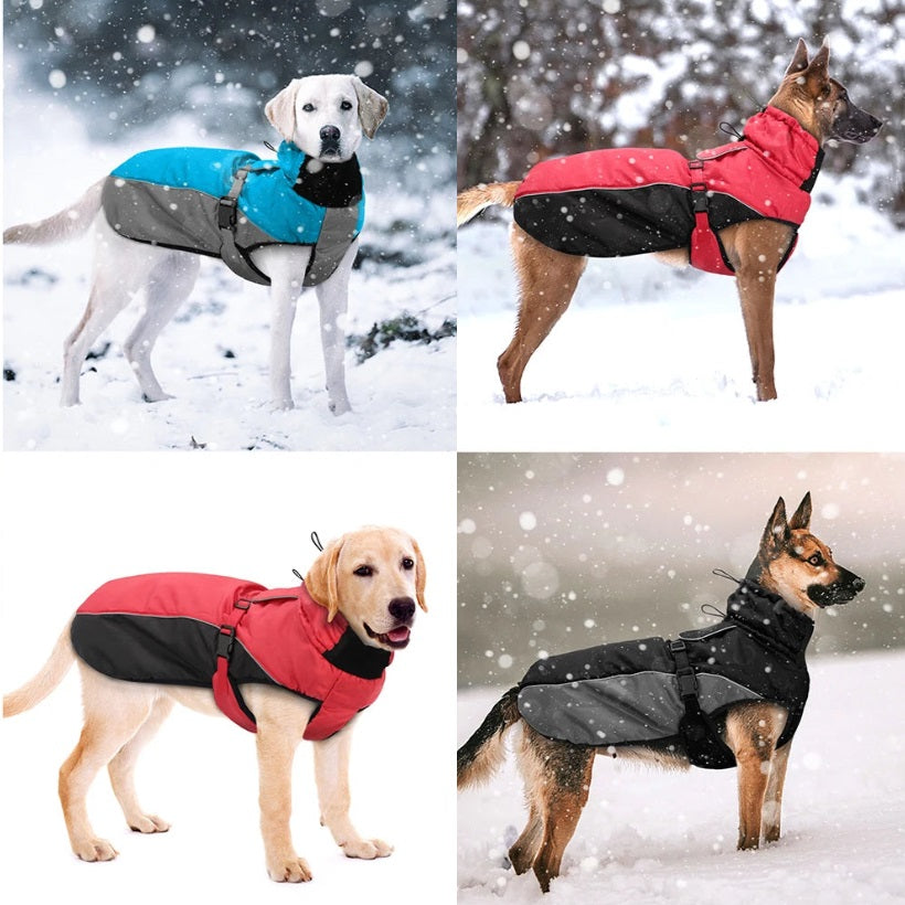 Imperméable pour chien RainSafe™